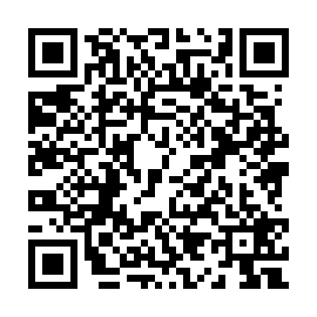 QR code for Z987299