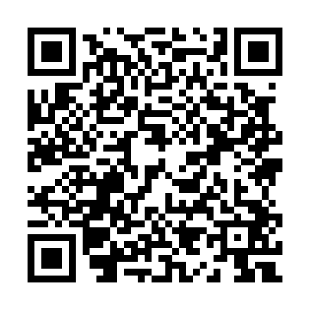 QR code for Z990429