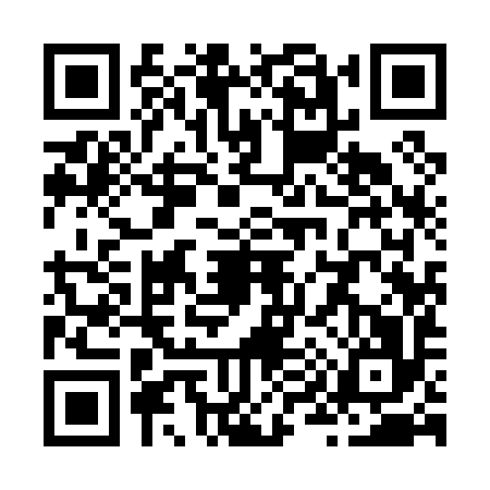 QR code for Z990966