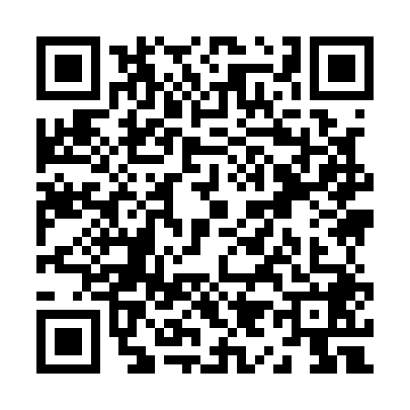 QR code for Z991489