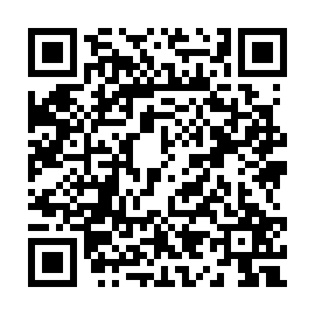 QR code for Z993279