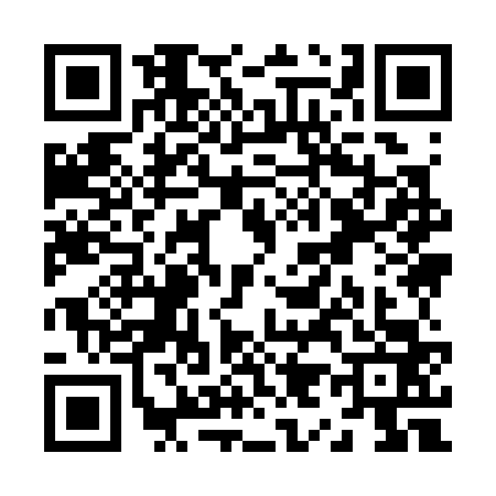 QR code for Z993638