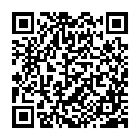 QR code for Z99386