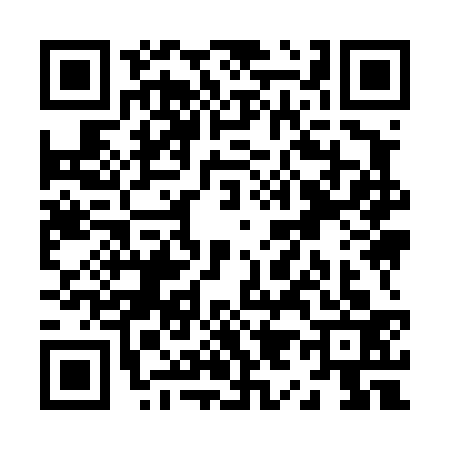 QR code for Z994330