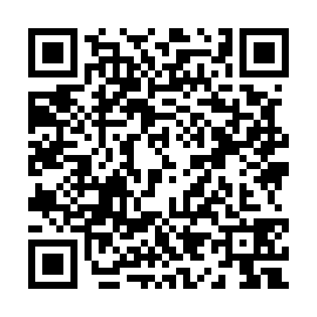 QR code for Z995383