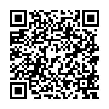 QR code for Z995886
