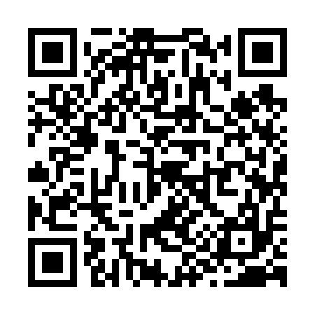 QR code for Z99617