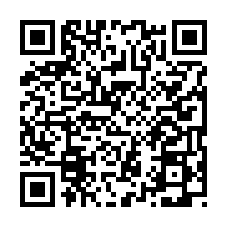 QR code for Z997488