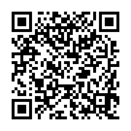 QR code for ZAP290