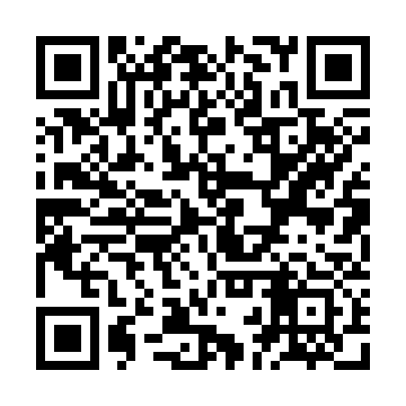 QR code for ZBP333