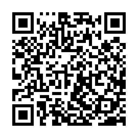 QR code for ZBP509
