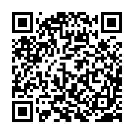 QR code for ZD0993