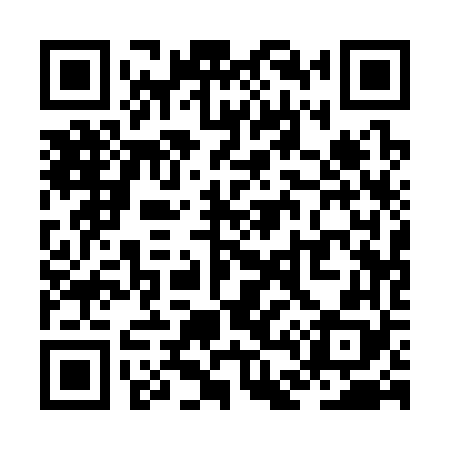 QR code for ZD1368