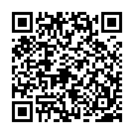 QR code for ZD29166