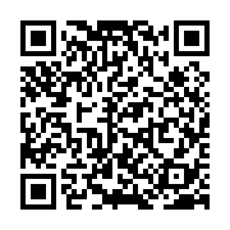 QR code for ZD3138