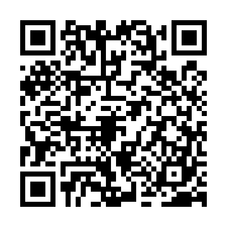 QR code for ZD95678