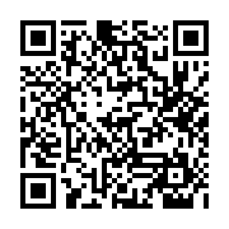 QR code for ZDE117