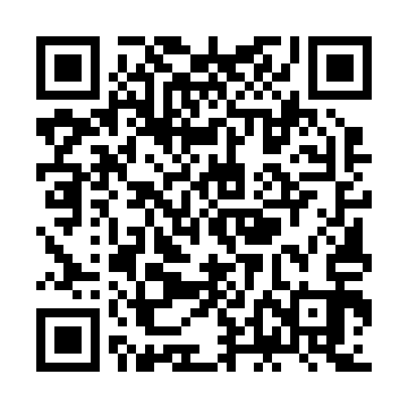 QR code for ZDE213