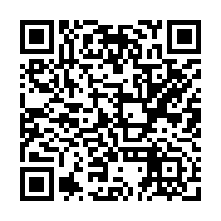 QR code for ZDI953