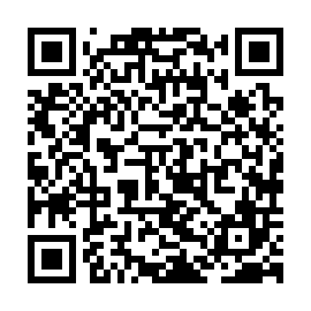QR code for ZDX306