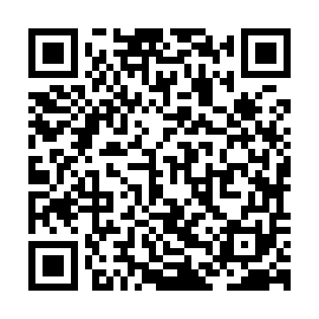 QR code for ZDZ951