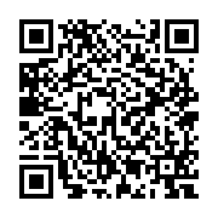 QR code for ZE12951
