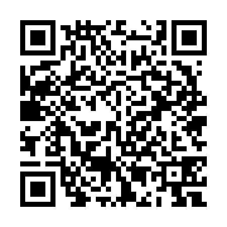 QR code for ZE56382