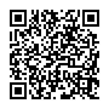 QR code for ZF13820
