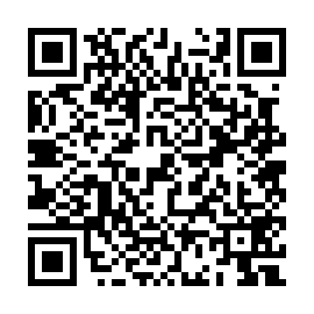 QR code for ZF20594