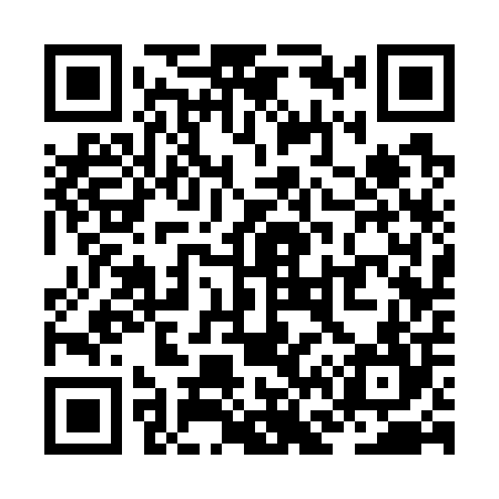 QR code for ZF3704