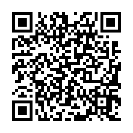 QR code for ZF56141
