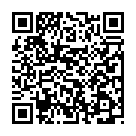 QR code for ZF60954