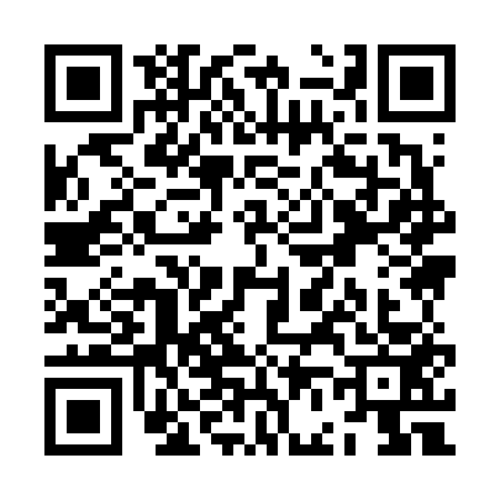 QR code for ZF96531