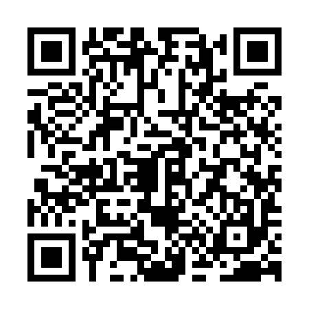 QR code for ZF98979