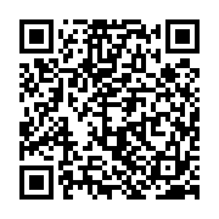 QR code for ZFA533