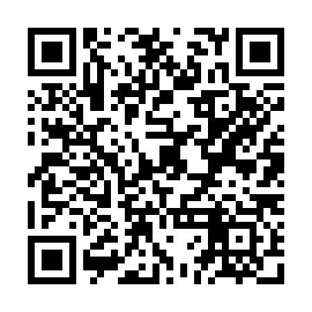 QR code for ZFF383