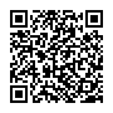 QR code for ZFL228