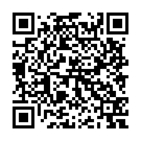 QR code for ZFX533