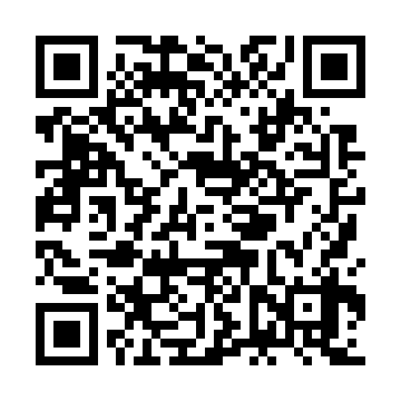 QR code for ZFX738