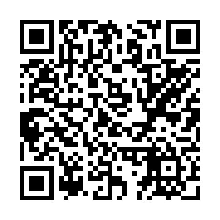 QR code for ZG0265