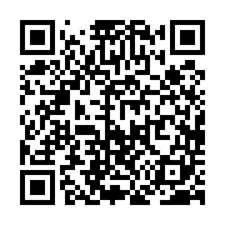 QR code for ZG0541