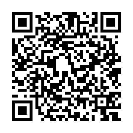 QR code for ZG06314