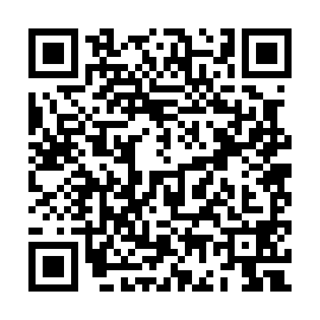 QR code for ZG20984