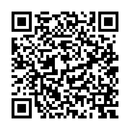 QR code for ZG37411