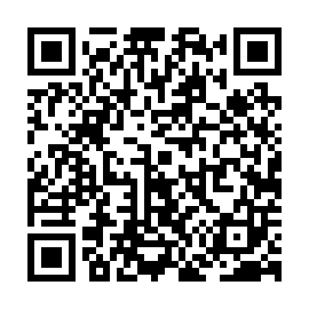 QR code for ZG4203
