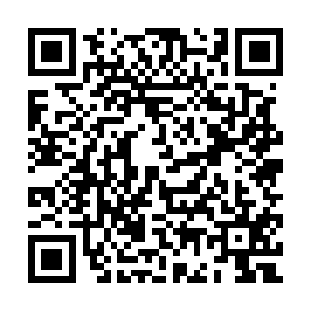 QR code for ZG55155