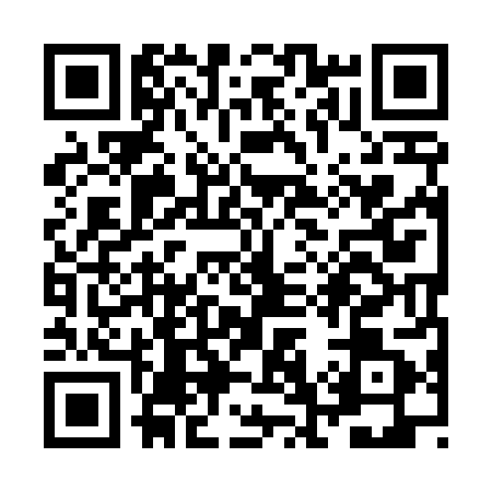 QR code for ZG94811