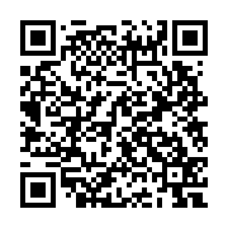 QR code for ZGB737