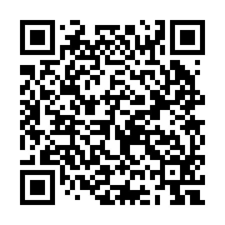 QR code for ZGS296
