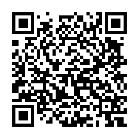 QR code for ZGS424